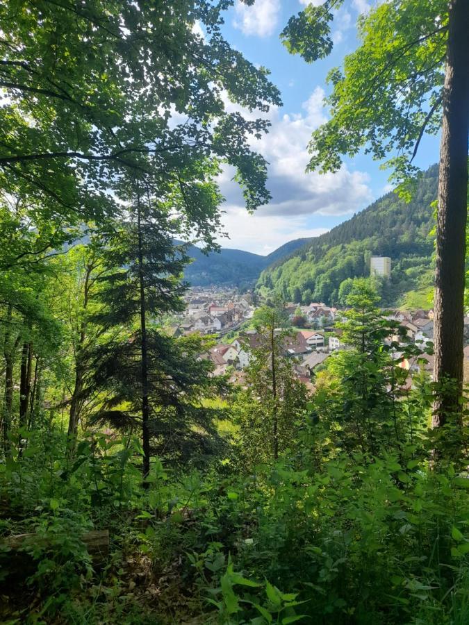 Ferienwohnung Am Enzufer Mit Balkon In Bad Wildbad Im Schwarzwald 外观 照片